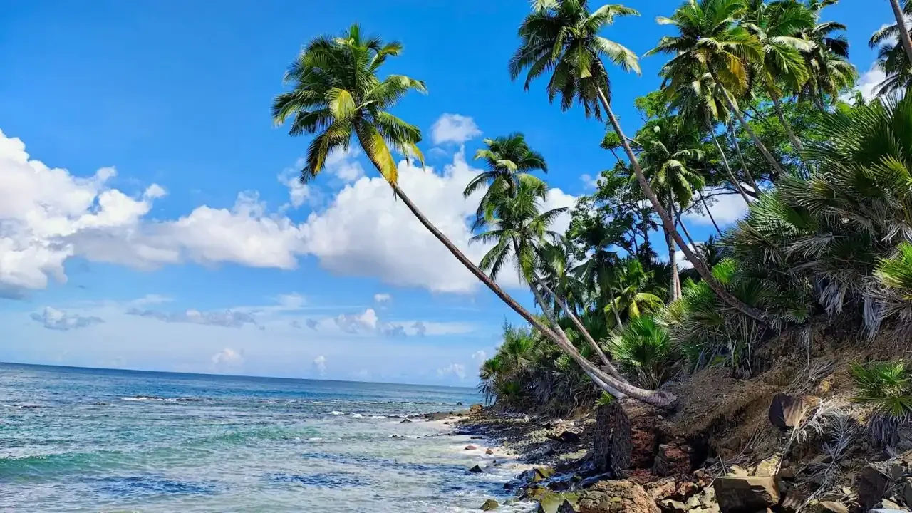 Andaman And Nicobar Islands